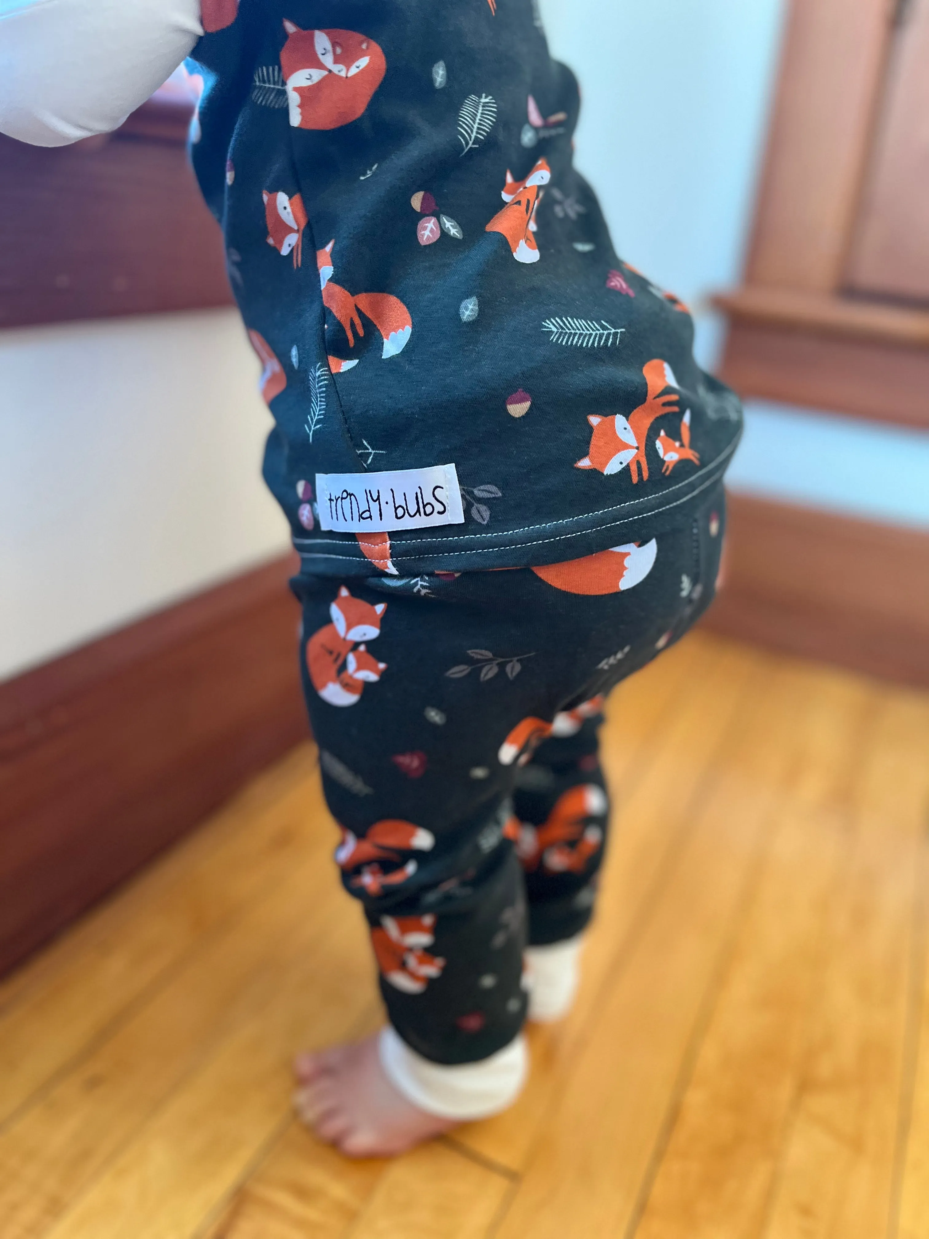 Cozy Foxes Leggings & Raglan 2 piece set