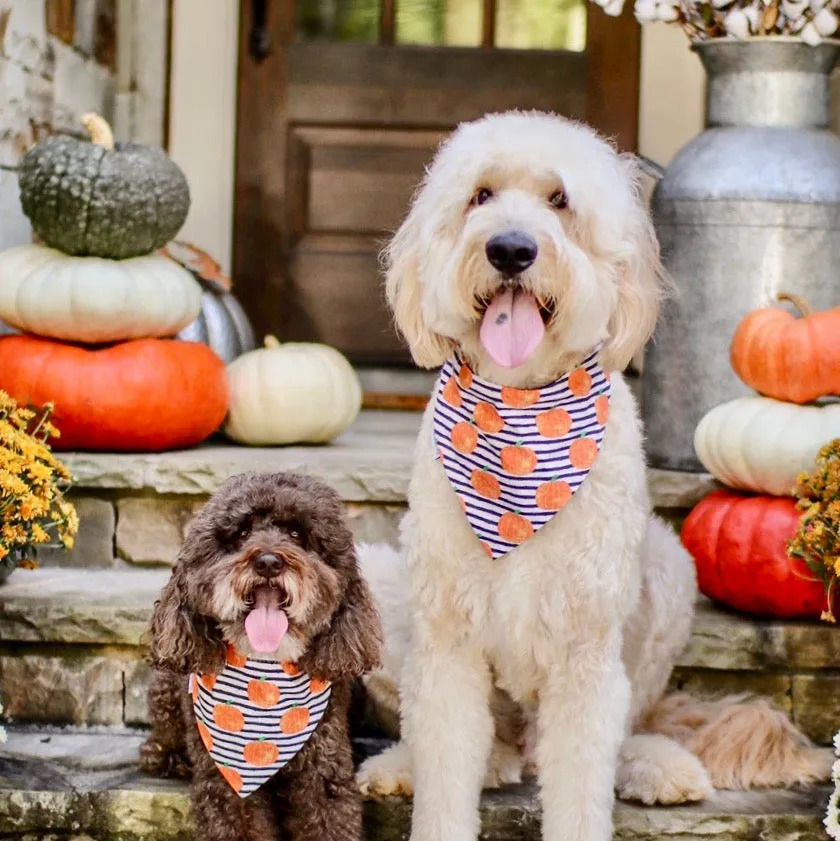 Personalized Thanksgiving Bandanas Handmade