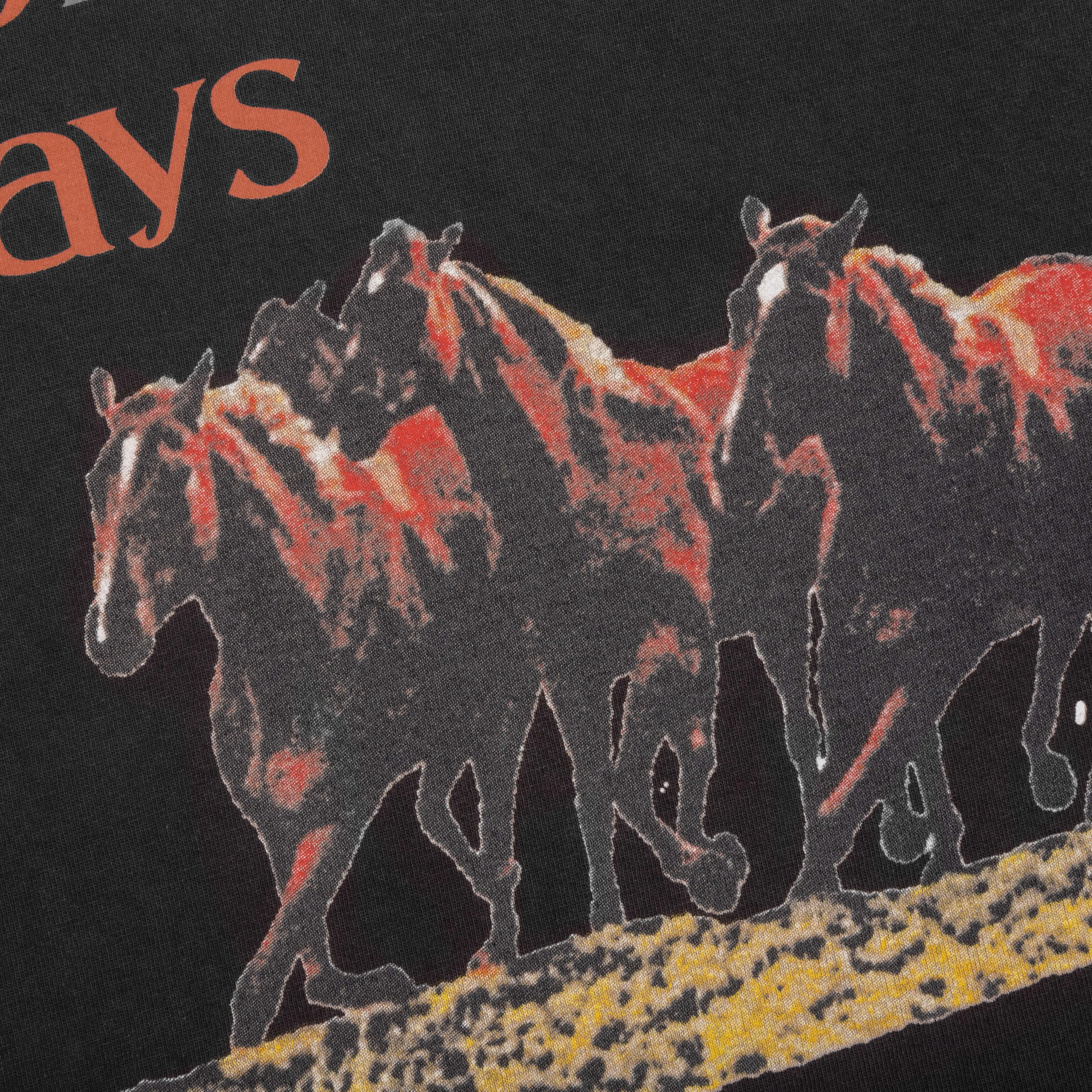 Wild Horses T-Shirt - Faded Black